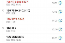 那曲债务清欠服务